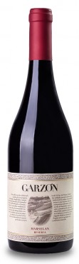 Garzón Reserva Marselan