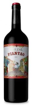 ZORZAL PIANTAO CABERNET FRANC